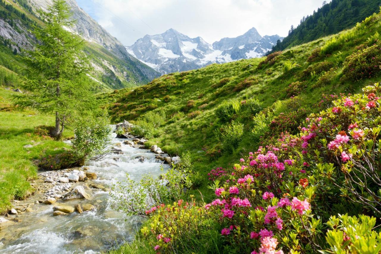 Monas Home Mayrhofen Eksteriør billede