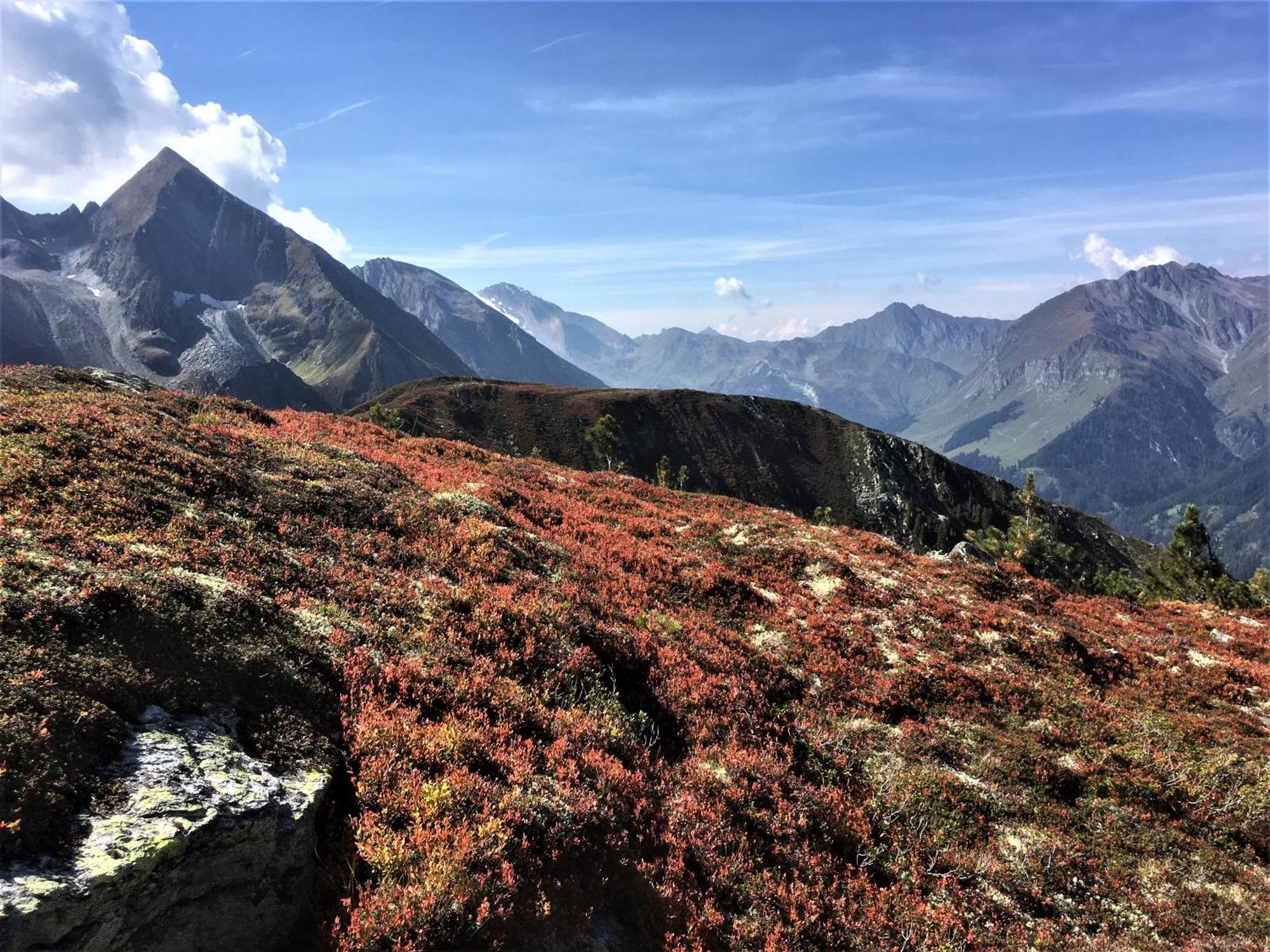 Monas Home Mayrhofen Eksteriør billede